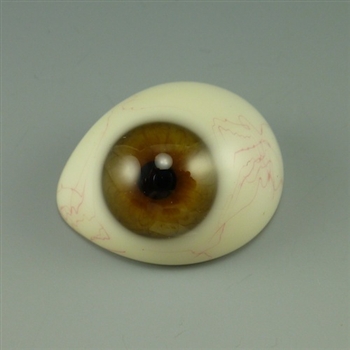 Antique Prosthetic Glass Eye Brown